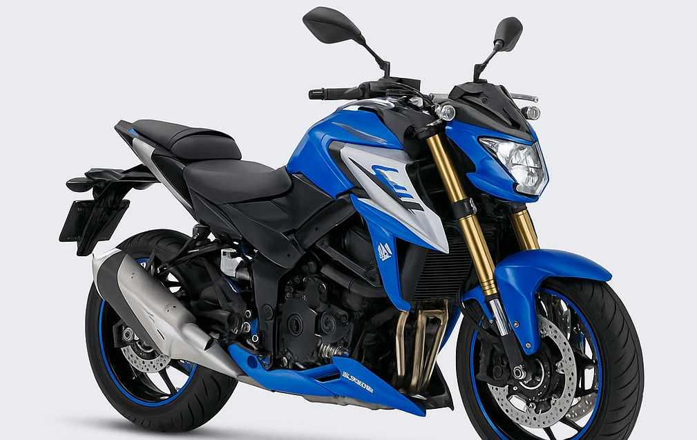 Rental Bike